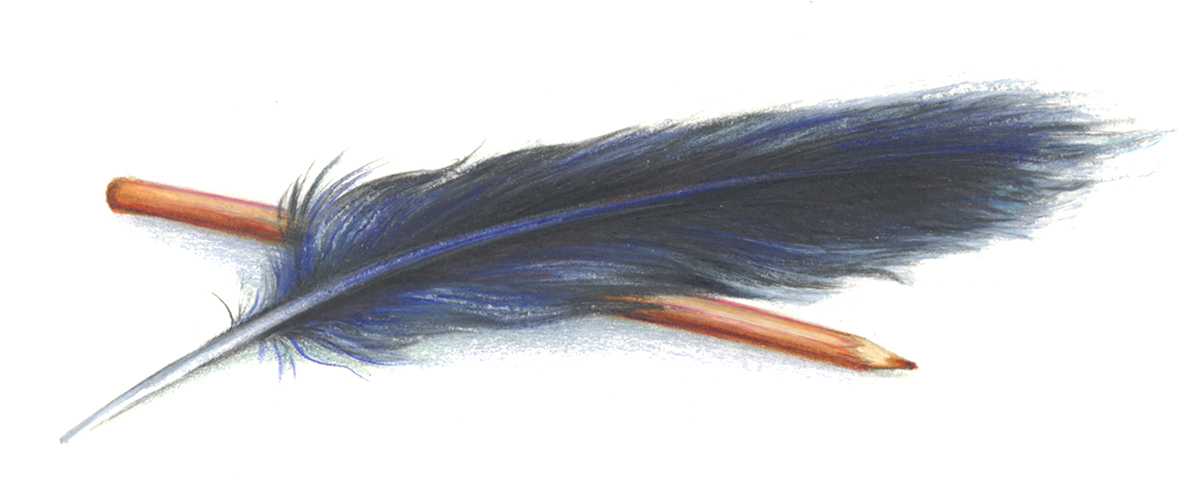 Raven feather and pencil
